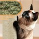 image 5 of Yaheetech 106 cm Cat Tree Tower with Double Condos Light Grey