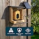 image 6 of JSH Smart Bird Feeder Camera with AI Species Identifier 1080p Video with Night Vision Solar Panel Livestream Feeding Table