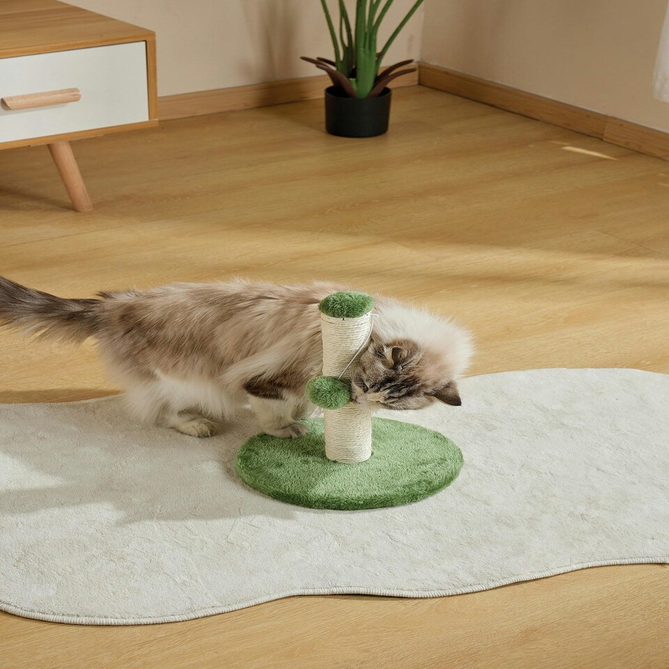 image 1 of M-PETS My First Cat Tree Pompom Green