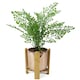 image 6 of Gold Ceramic Planter with Bamboo Stand Plant Pot Botanik | Gold