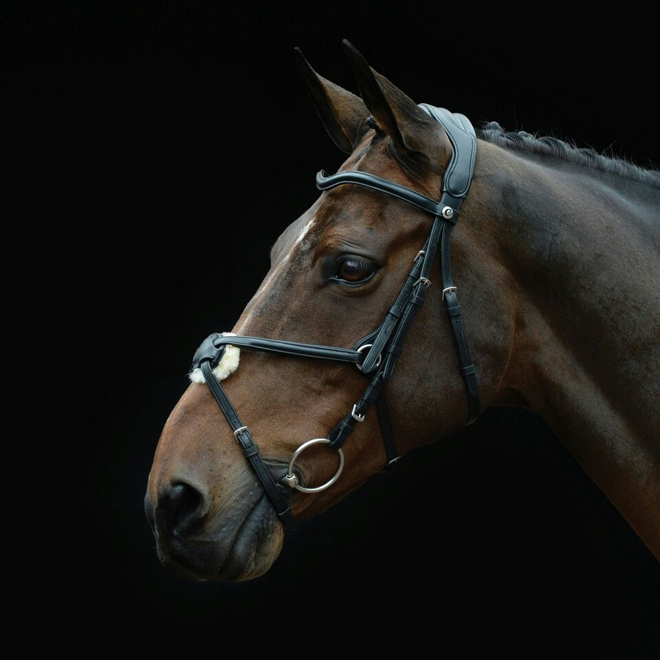 image 1 of Collegiate Comfitec Grackle Leather Horse Bridle - Black - Warmblood