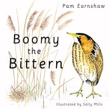 Boomy The Bittern