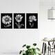 image 3 of Set of 3 Elegant Single Tulip Daisy Rose Spring Flowers Black White Floral Artworks Wall Art Prints 12X16 Inch