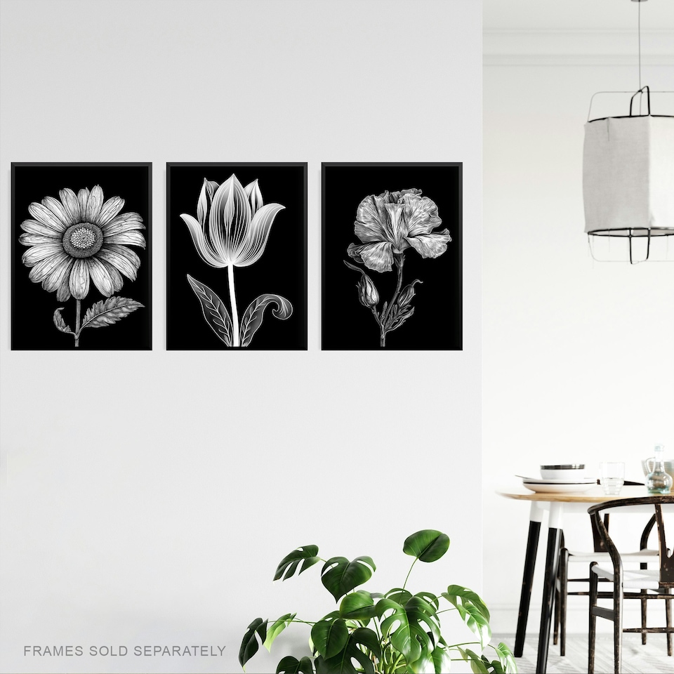 image 1 of Set of 3 Elegant Single Tulip Daisy Rose Spring Flowers Black White Floral Artworks Wall Art Prints 12X16 Inch