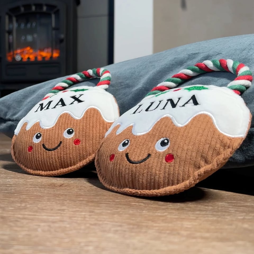 image 1 of Pre-personalised Christmas Dog Toy Gift - Over 80 Titles - Daisy