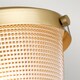 image 4 of Dublin 1 Light Semi-Flush Mount, Painted Natural Brass, IP44, E27