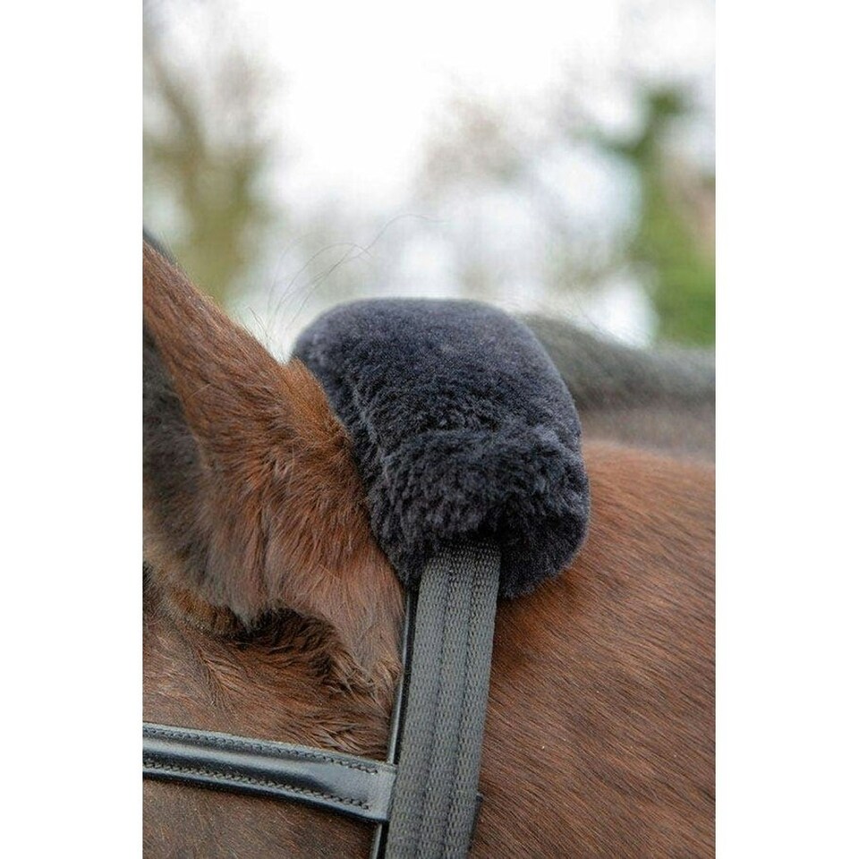 image 1 of Shires Leather Horse Lunging Adapter - Black - One Size