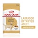 image 1 of Royal Canin Labrador Adult Wet Dog Food - 40 x 140 g Pouches (4 kg) | Multi | 40 x 140g | 1