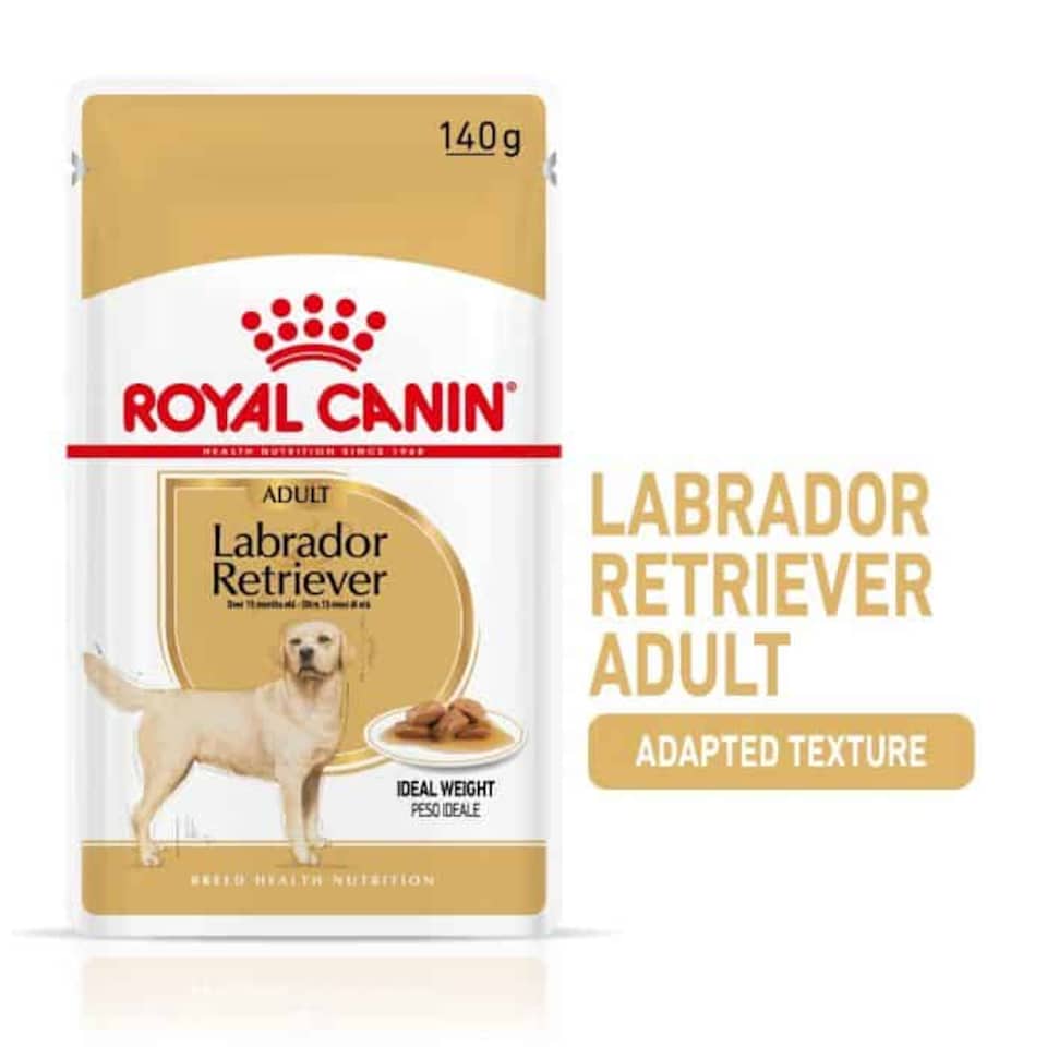image 1 of Royal Canin Labrador Adult Wet Dog Food - 40 x 140 g Pouches (4 kg) | Multi | 40 x 140g | 1