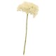 image 3 of Cream Short Stem Hydrangea Artificial Silk Flower 51cm