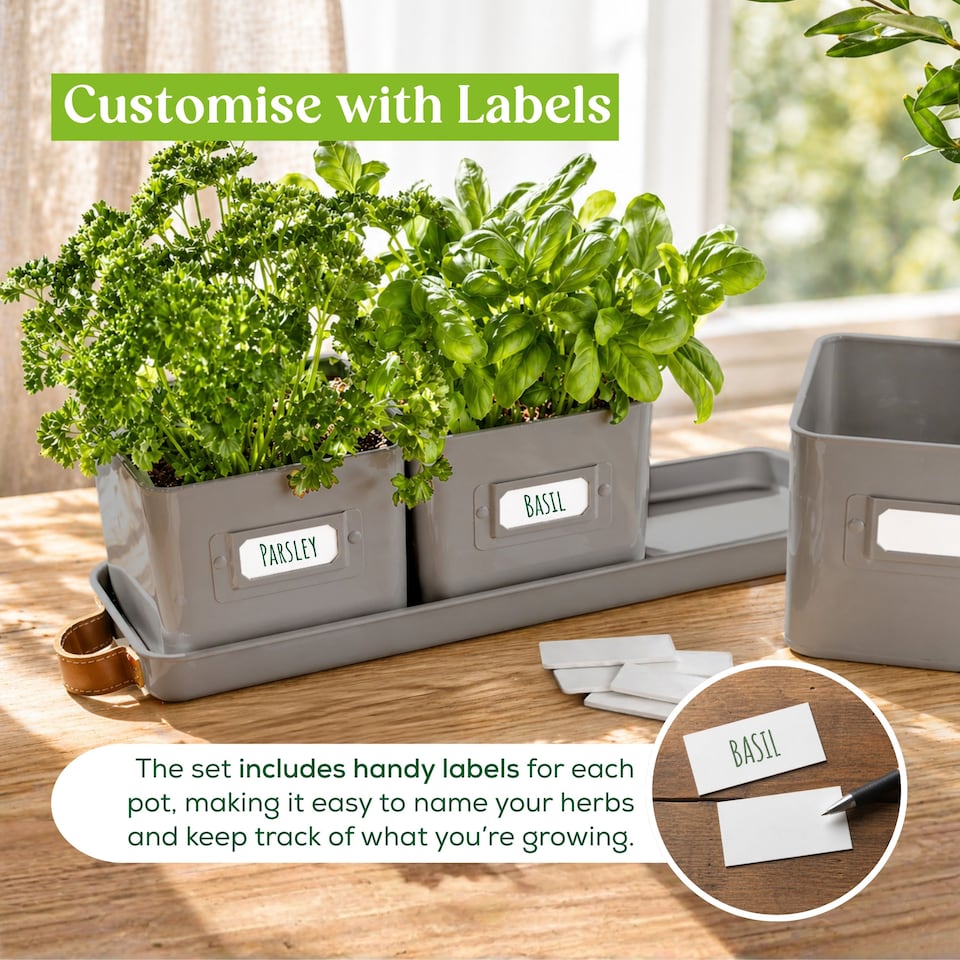 image 1 of Set of 6 Grey Indoor Herb Pots with Tray