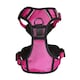 image 9 of Bunty Adventure Harness Red | M