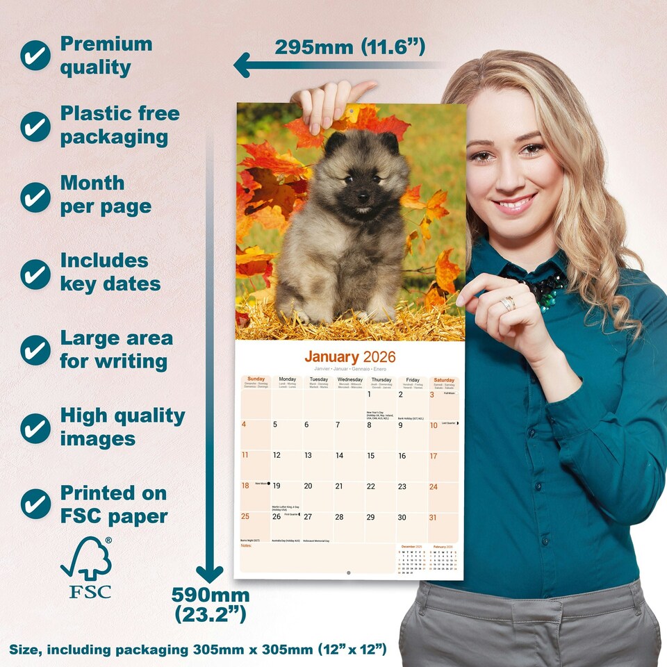 image 1 of Keeshond 2026 Calendar | Square Wall Calendar | Dog Breed Gift | Plastic Free Packaging | by Avonside Publishing