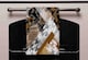 image 2 of Geometric Snake Skin & Patterns (Kitchen Towel)