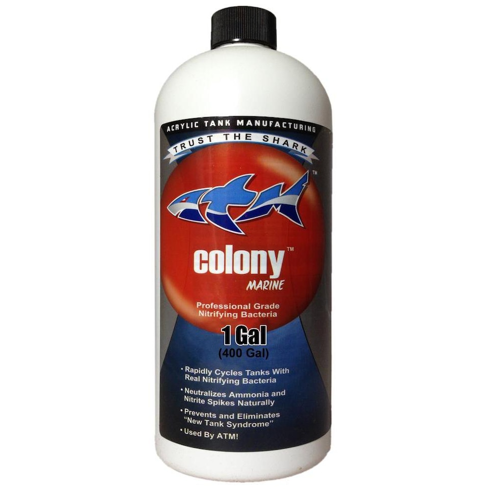 image 1 of ATM Colony Marine 1 Gallon | Clear