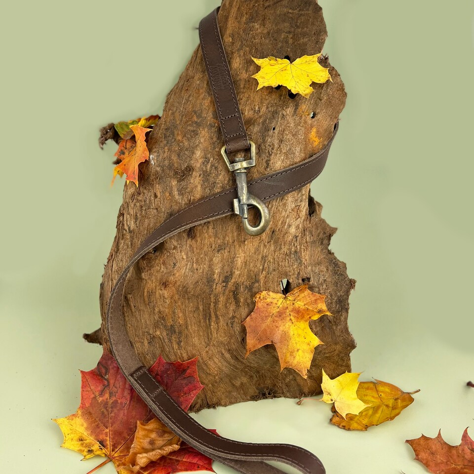 image 1 of HugglePets Legacy Leather Dog Lead Brown | Chocolate