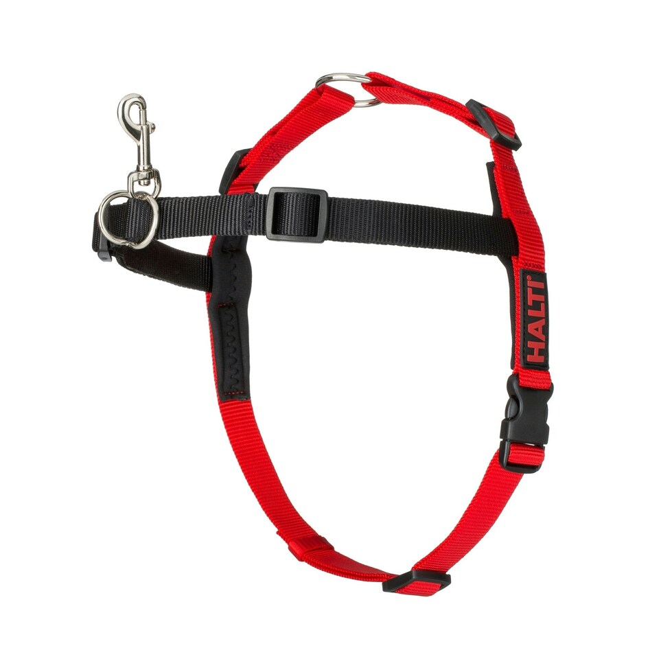HALTI Dog Harness - Black/Red - Medium