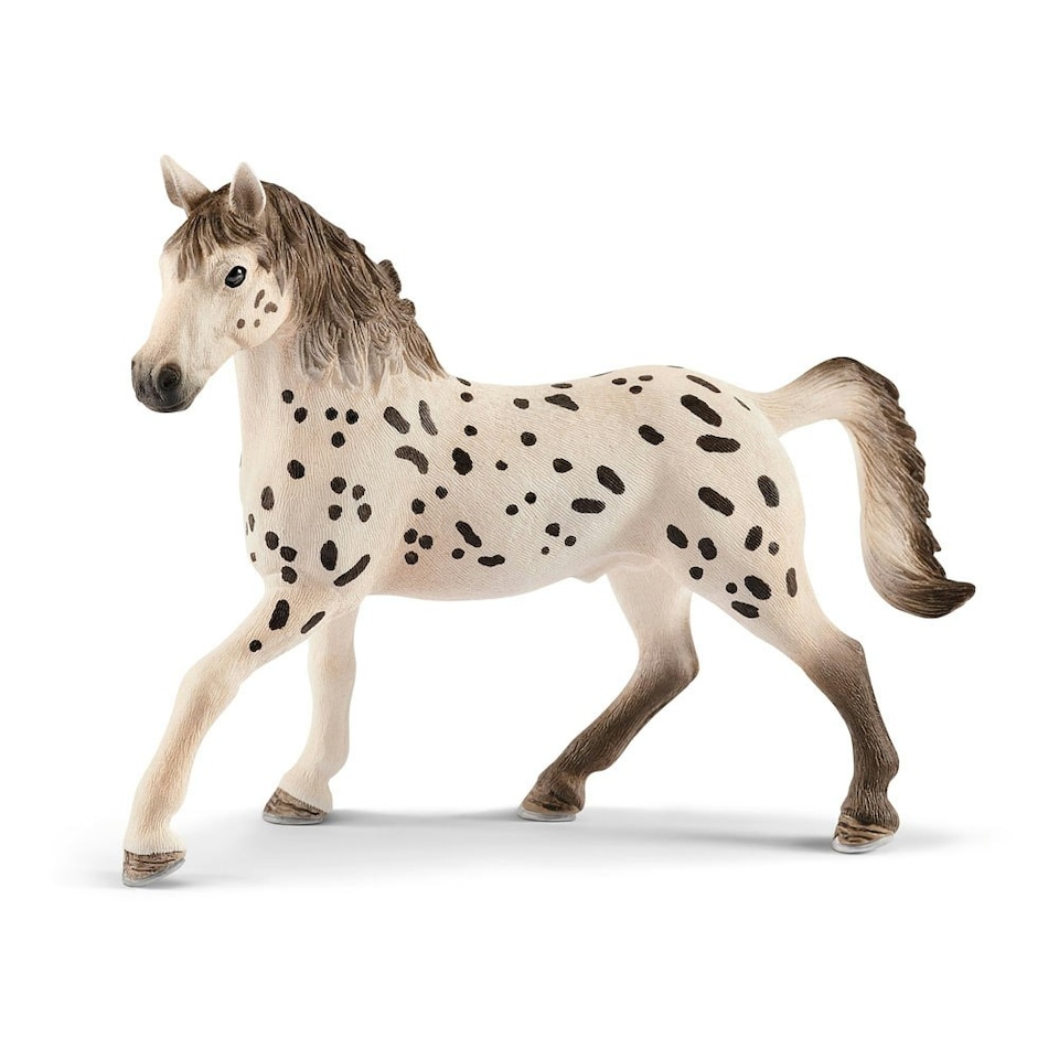 image 1 of SCHLEICH Horse Club Knapstrupper Stallion Toy Figure (13889)