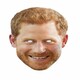 image 1 of 5 Prince Harry Face Masks Blue
