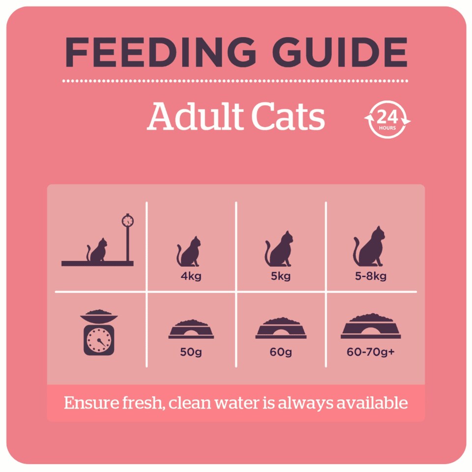 image 1 of Burgess Adult Cat Scottish Salmon - 1.5KG