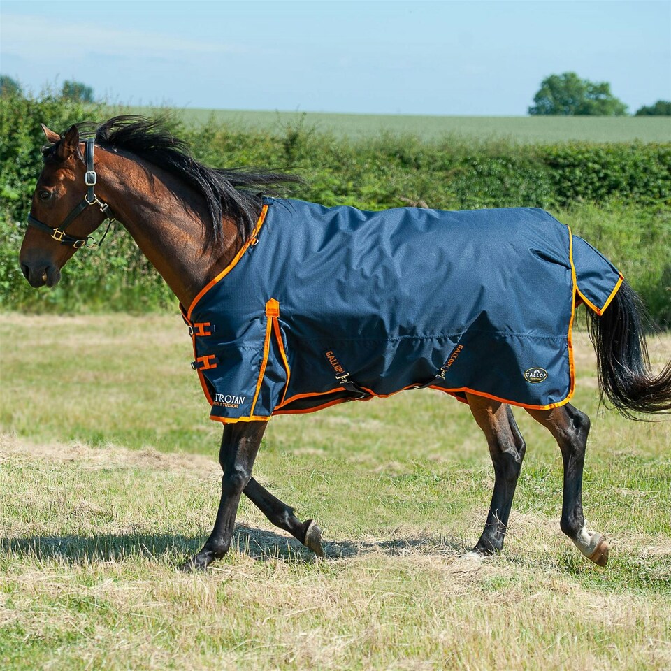 image 1 of Gallop Equestrian Trojan 100 Standard Turnout Red | Size: 5ft 6
Colour: Navy/Red