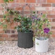 image 3 of Outdoor Pot Plant Support
