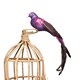 image 1 of Large Decorative Purple Paradise Bird With Clip - 35cm