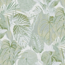 Exotic Oasis Wallpaper in Green | Green | Green