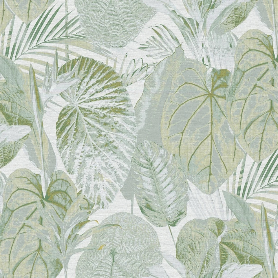 image 1 of Exotic Oasis Wallpaper in Green | Green | Green