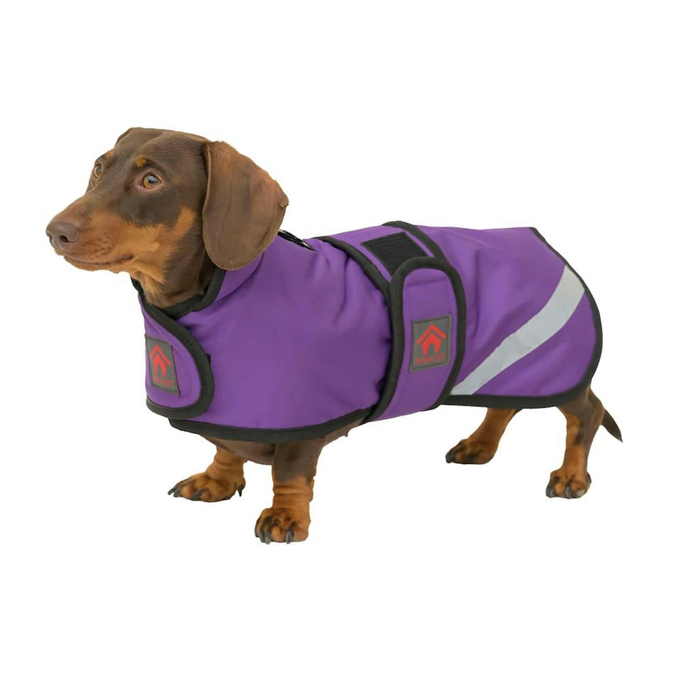 image 1 of Firefoot Dachshund Fleece Lined Outdoor Dog Coat - Purple - M-16cm