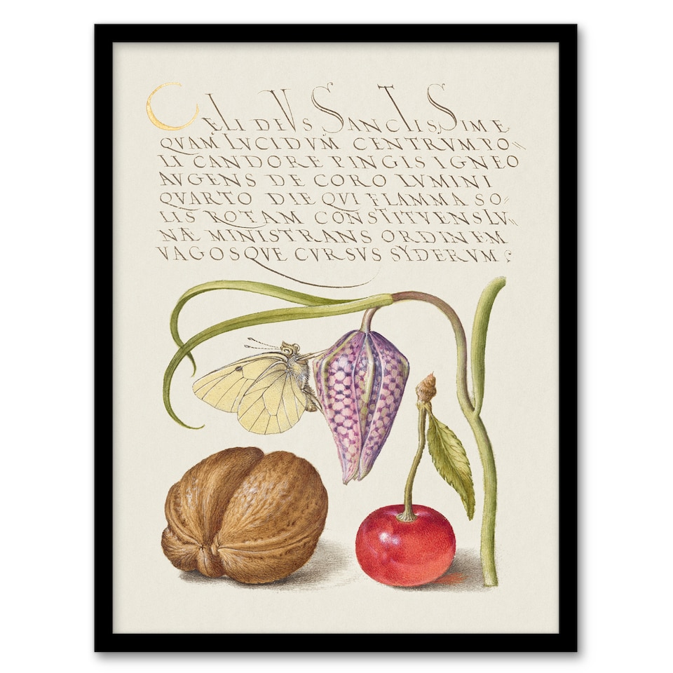 image 1 of Model Book of Calligraphy Framed Wall Art Snakeshead Walnut and Cherry