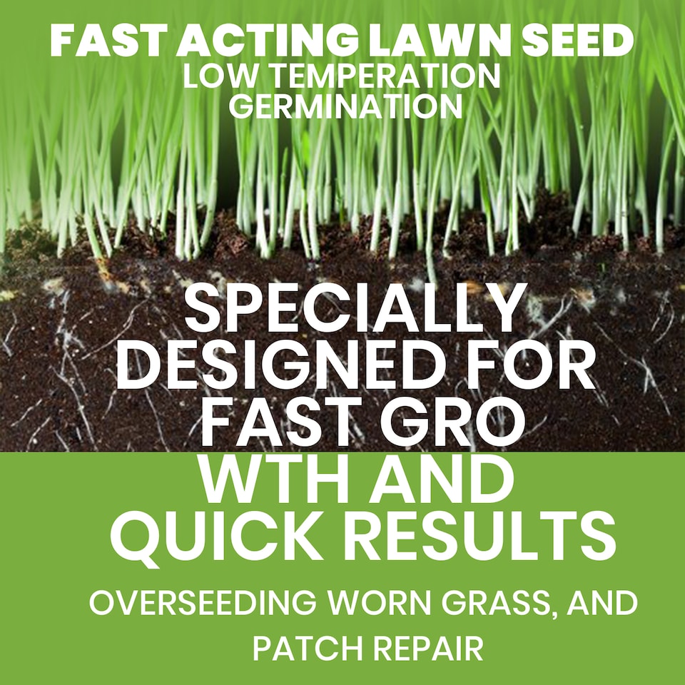 image 1 of Westland Gro-Sure Fast Acting Lawn Seed 30 Square Meter with 20 Percent Extra Free Quick Germination Grass Seed for New Lawns and Patch Repair