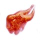 image 7 of Tangerine Dream Glis Gloss - Lip Gloss - Glisten Cosmetics Multi