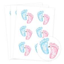 He or She Gender Reveal Round Stickers 88mm - Sheet of 6