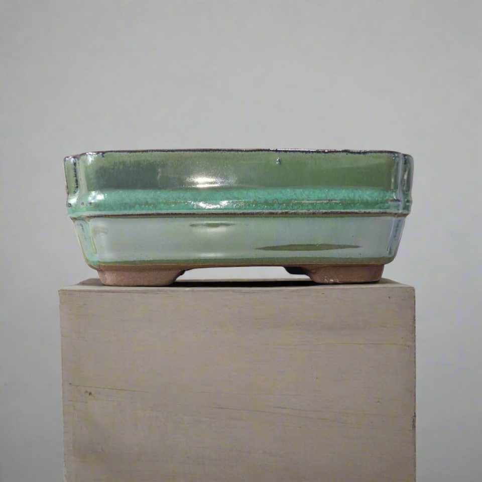 Yorkshire Bonsai 16cm Glazed Bonsai Pot Rectangle 16cm x 13cm x 4cm Green