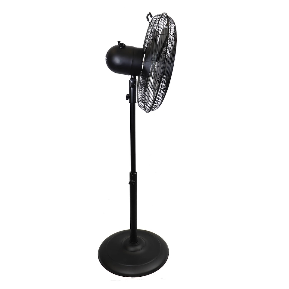 image 1 of Igenix Pedestal Fan, 16 Inch, Oscillating, 3 Speeds, DF1660BL, Black