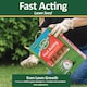 image 3 of Westland GRO-Sure Fast Acting Lawn Seed 10 Meter Square + 30 Percent Extra Quick Germination Grass Seed for Lawn Repair & Growth