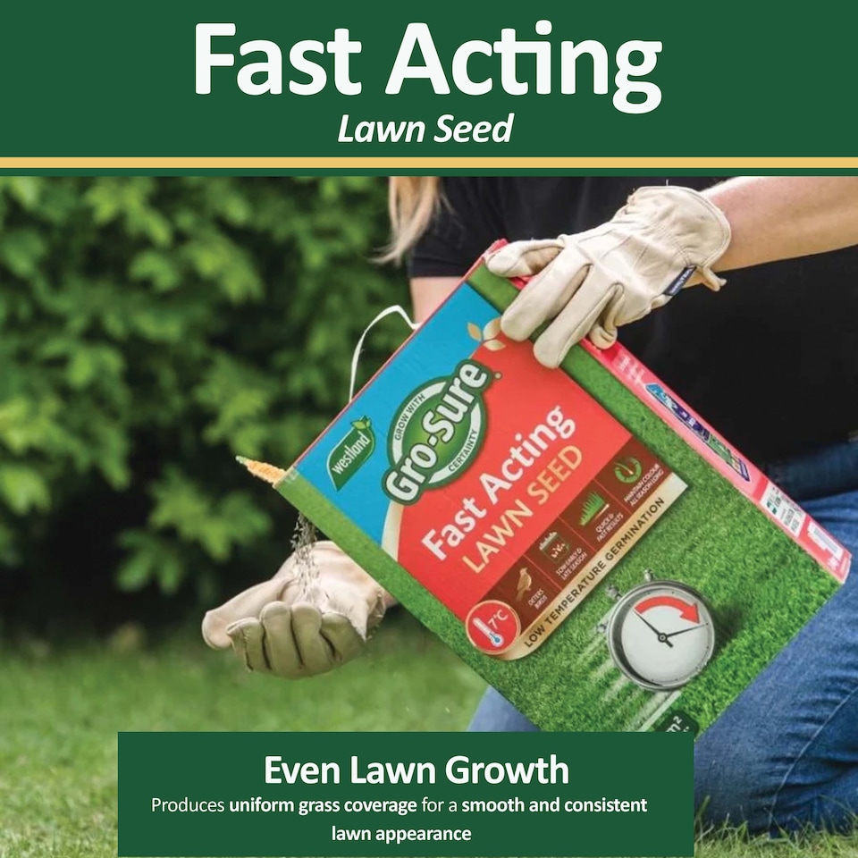 image 1 of Westland GRO-Sure Fast Acting Lawn Seed 10 Meter Square + 30 Percent Extra Quick Germination Grass Seed for Lawn Repair & Growth