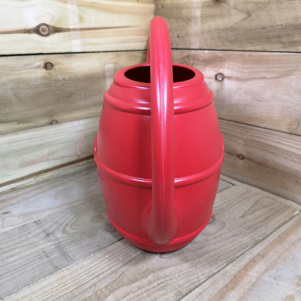 image 1 of 10L Garden Patio Ward Watering Can with Rose in Green