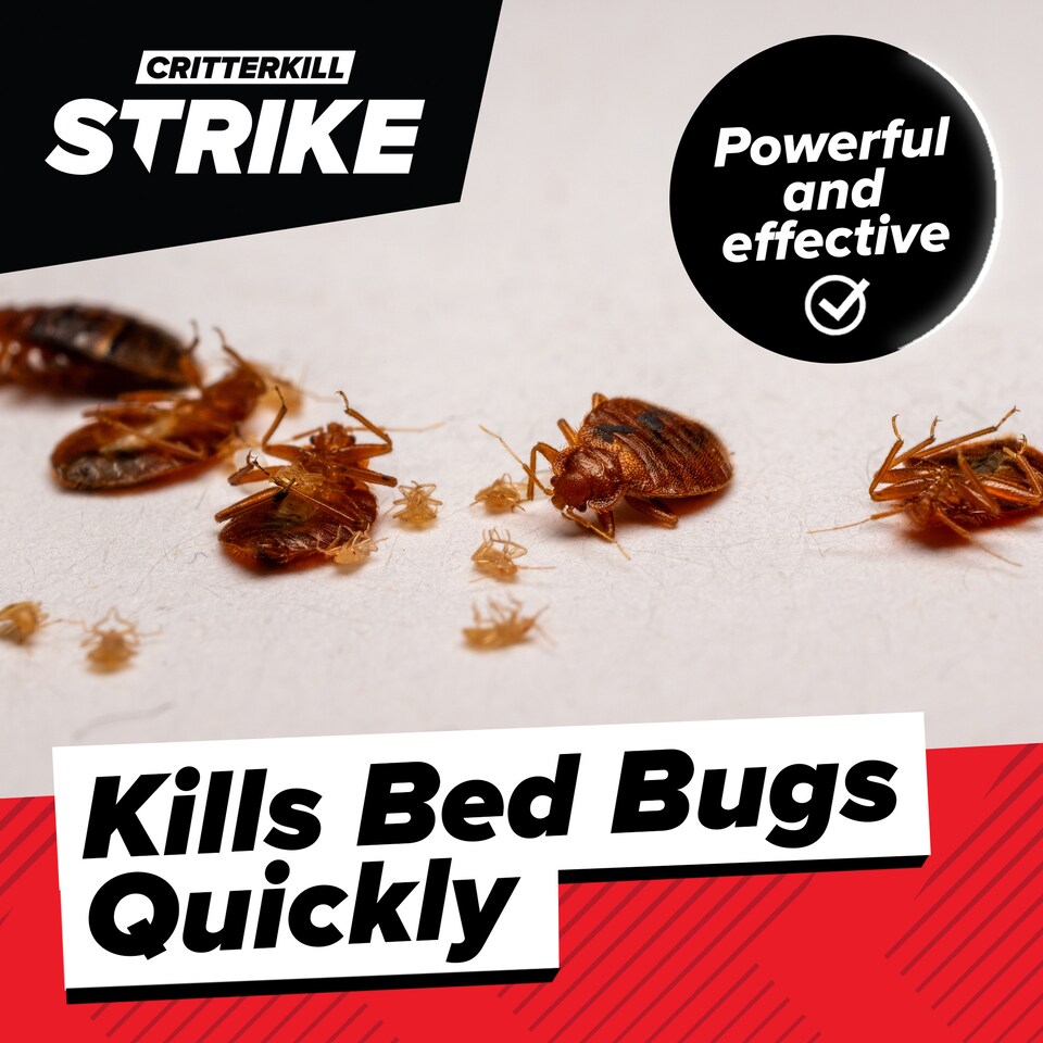 image 1 of CritterKill Professional Insect Killer Smoke Fogger 15g - 10 Pack