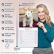 image 6 of West Highland Terrier 2026 Calendar | Square Wall Calendar | Dog Breed Gift | Plastic Free Packaging | by Avonside Publishing