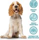 image 3 of Burns Sensitive Duck & Rice Adult & Senior Dry Dog Food - 6 kg | Multi | 6kg | 1