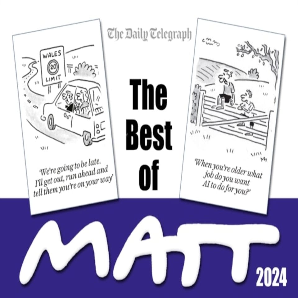 The Best Of Matt 2024