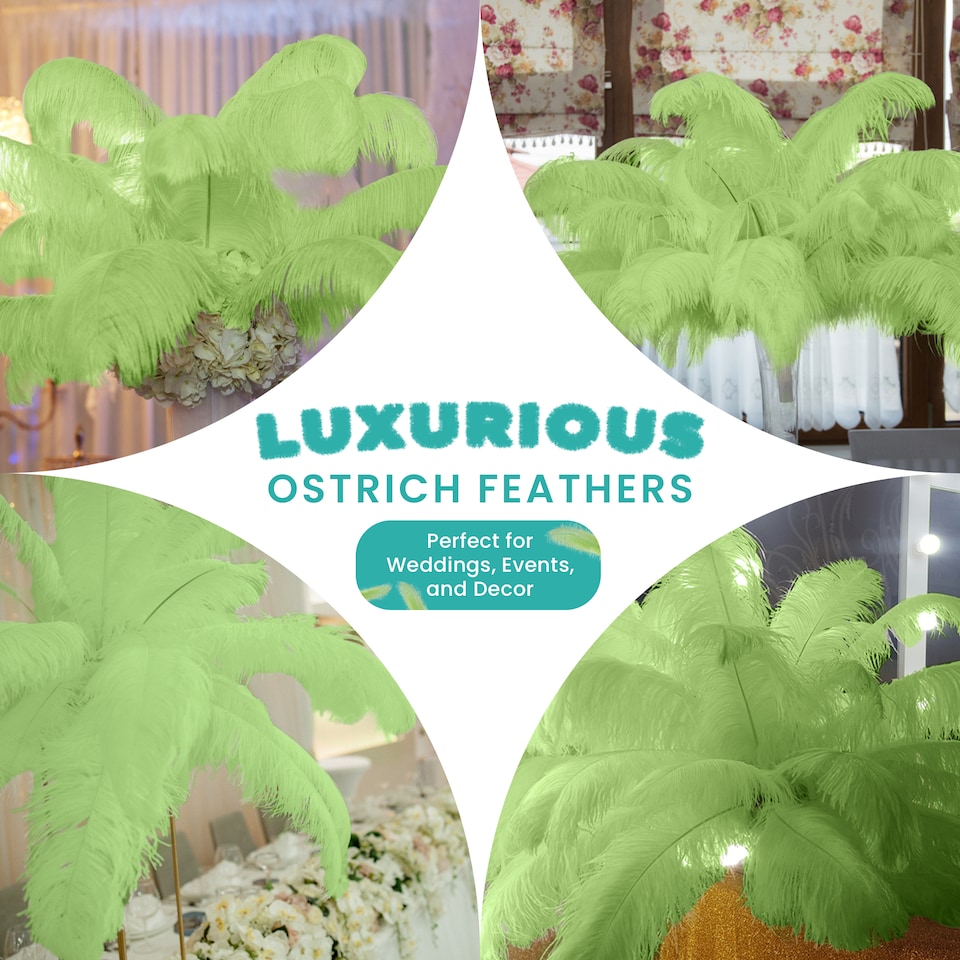 image 1 of 50cm - 60cm Large Ostrich Feathers, Showgirl Spadones - 5pcs