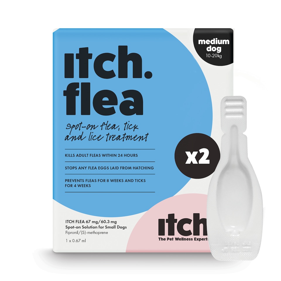 image 1 of Itch Flea Medium Dog Flea & Tick Spot On Treatment 2 Pipette (10-20kg) | Blue | 2 Pack