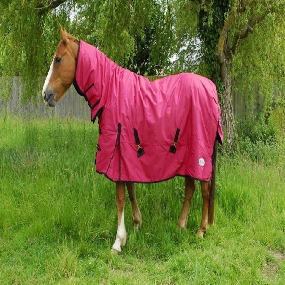 image 1 of Rhinegold Full Neck Konig Red | Size: 6ft 3
Colour: Red