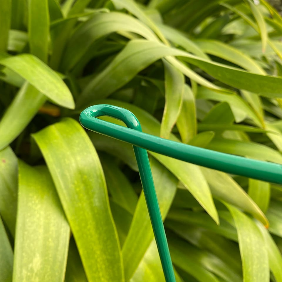image 1 of Garden Plant Support Connecting Interlocking Metal Hoops (45cm x 60cm) - Pack of 2