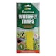 image 4 of Vitax Whitefly Traps – 7 Pieces