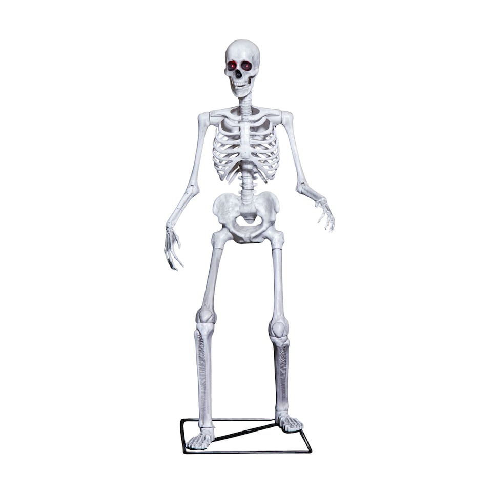 image 1 of 5ft (1.5m) Full Body Halloween Standing Skeleton with Posable Joints & Red LED Eyes