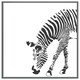 image 3 of Zebra (Picture Frame) Black | M